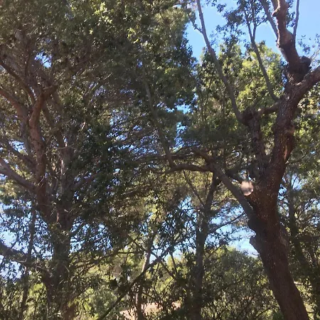 Les Quatre Vents Mit Traumhaftem Meerblick