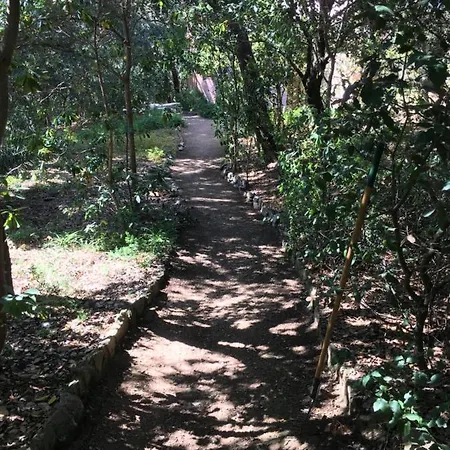 Villa Les Quatre Vents Mit Traumhaftem Meerblick Hyères