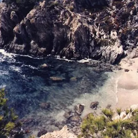 Les Quatre Vents Mit Traumhaftem Meerblick Vila Hyères