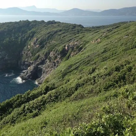 Les Quatre Vents Mit Traumhaftem Meerblick Vila Hyères