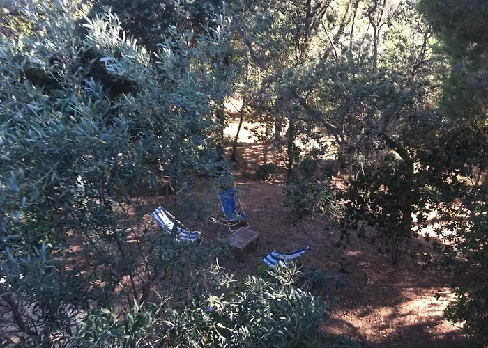Villa Les Quatre Vents Mit Traumhaftem Meerblick Hyères