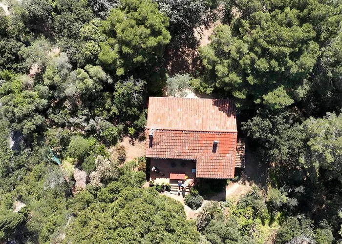 Villa Les Quatre Vents Mit Traumhaftem Meerblick Hyères