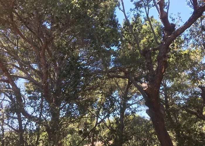 Les Quatre Vents Mit Traumhaftem Meerblick