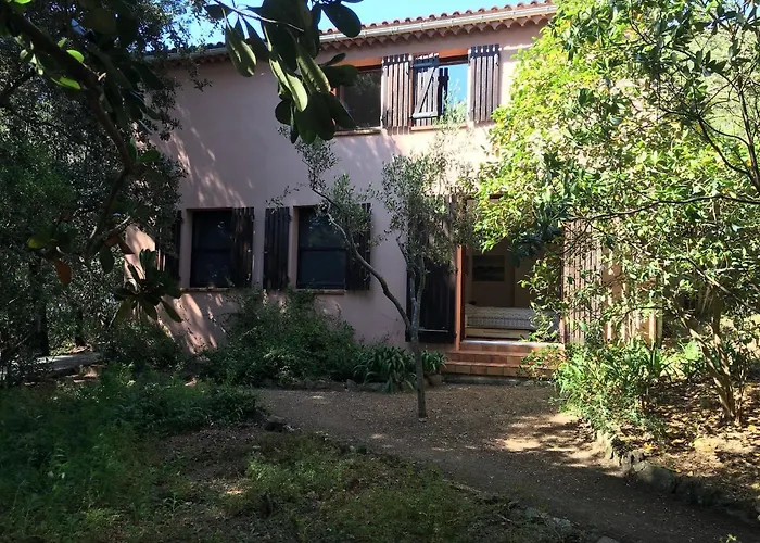 Les Quatre Vents Mit Traumhaftem Meerblick * Hyères