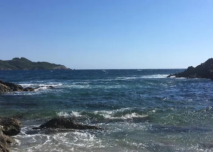 Les Quatre Vents Mit Traumhaftem Meerblick * Hyères